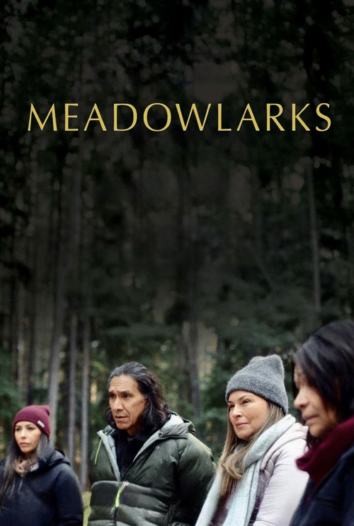 Movie poster for Meadowlarks (2025)