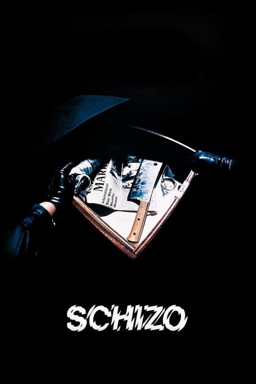 Movie poster for Schizo (1976)