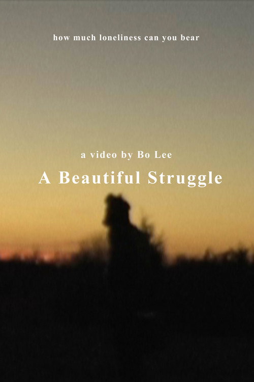 Movie poster for A Beautiful Struggle
