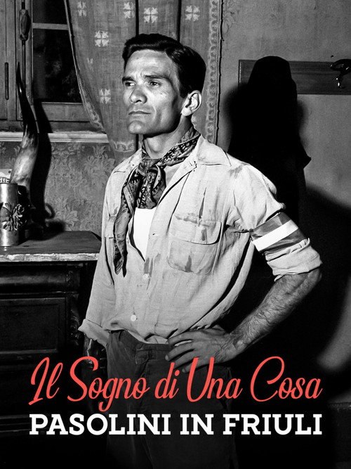 Movie poster for Il sogno di una cosa - Pasolini in Friuli (1976)
