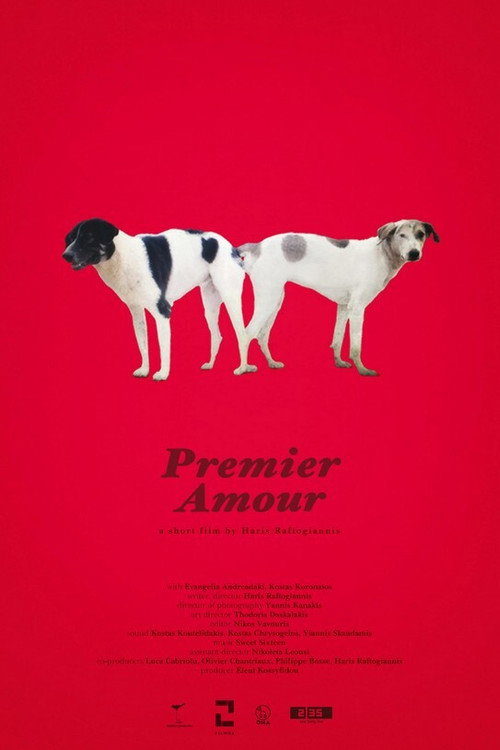 Movie poster for Premier Amour (2020)