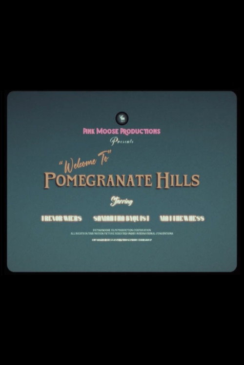 Movie poster for “Welcome To” Pomegranate Hills (2024)