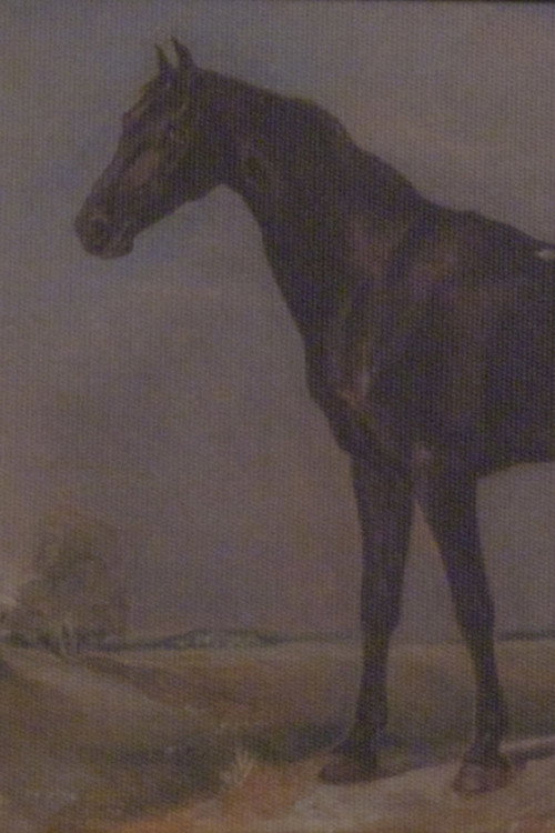 Movie poster for veblen good