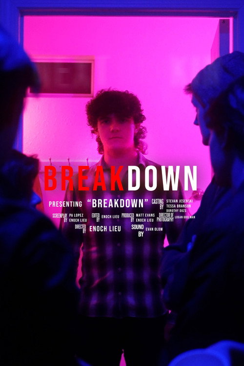 Movie poster for Breakdown (2023)