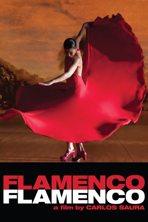 Movie poster for Flamenco Flamenco (2010)