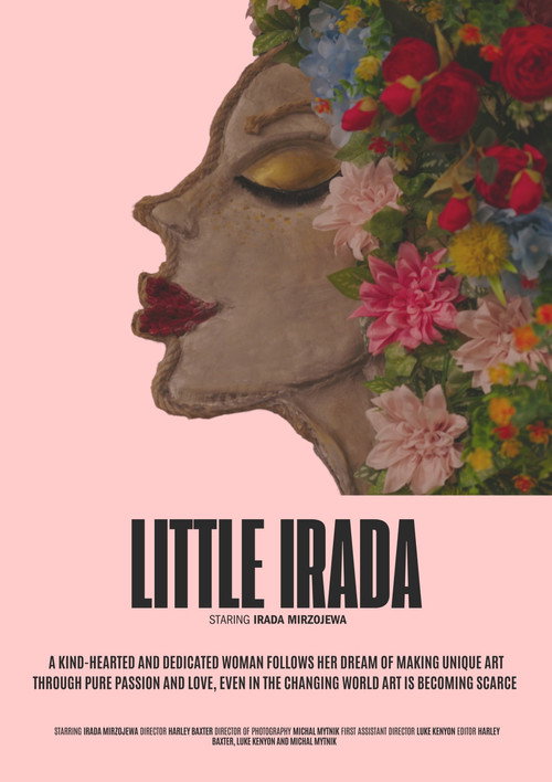 Movie poster for Little Irada