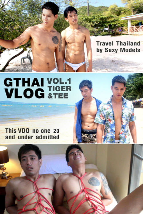 Movie poster for Gthai Vlog Vol. 1: Tiger & Tee (2019)