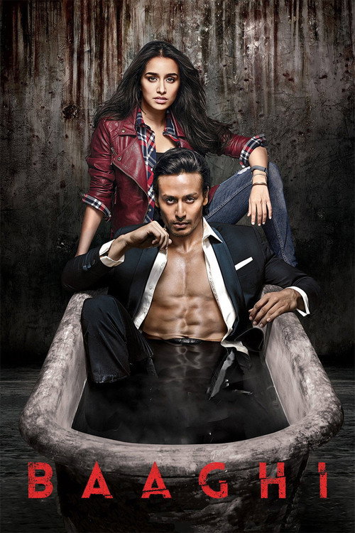 Movie poster for Baaghi 2016