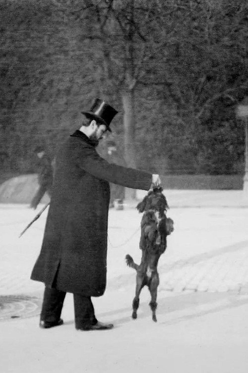 Movie poster for Chien Caniche Noir Sautant (1897)