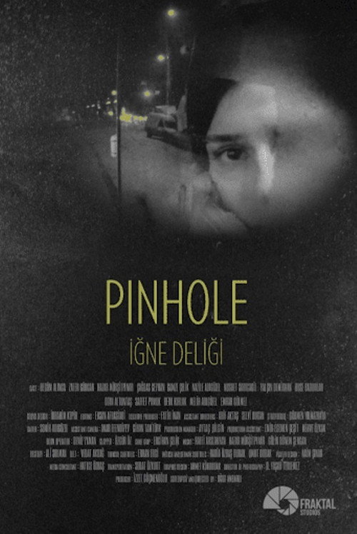 Movie poster for Pinhole (2015)
