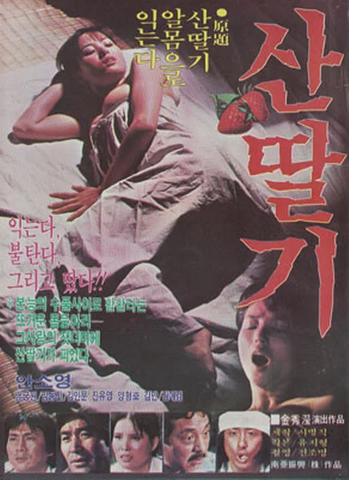 Movie poster for Mountain Strawberries (1982)