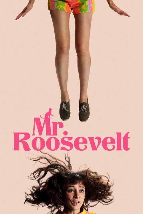 Movie poster for Mr. Roosevelt (2017)