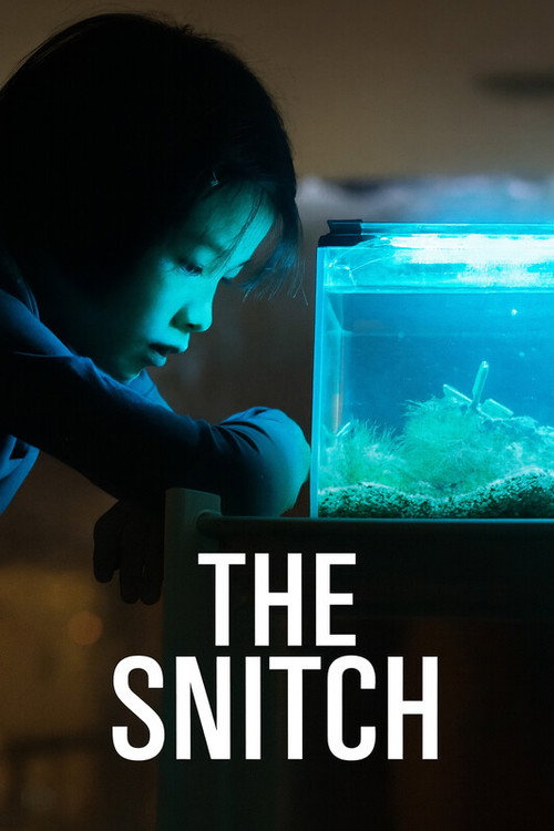 Movie poster for The Snitch (2025)