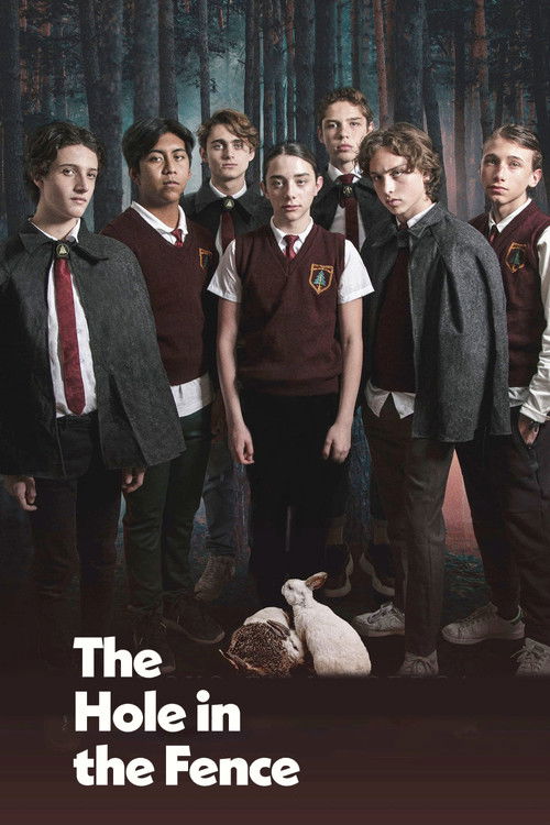 Movie poster for The Hole in the Fence (2021)
