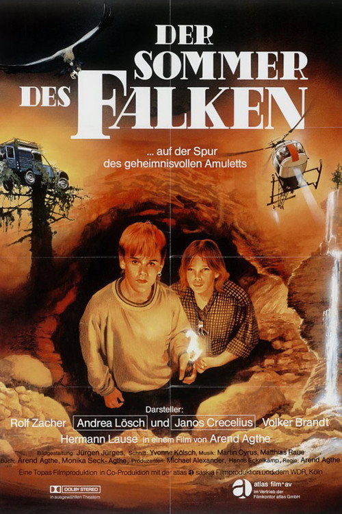 Movie poster for Der Sommer des Falken (1988)
