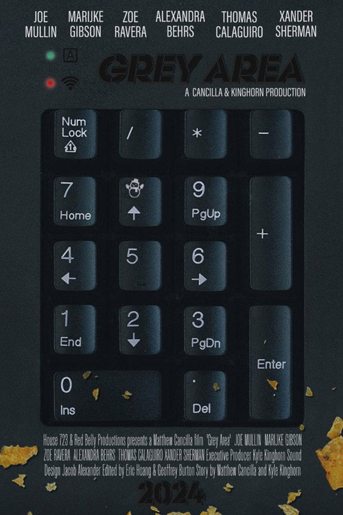 Movie poster for Grey Area (2025)