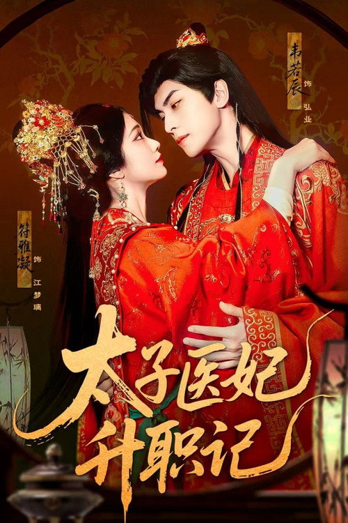太子医妃升职记 poster