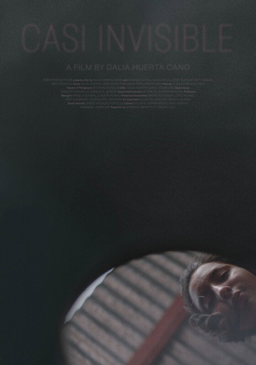 Movie poster for Casi invisible (2023)