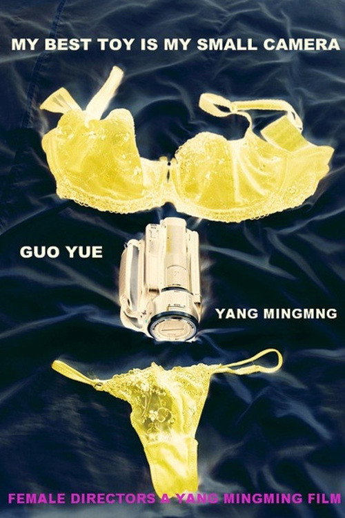 Movie poster for Female Directors (2012)