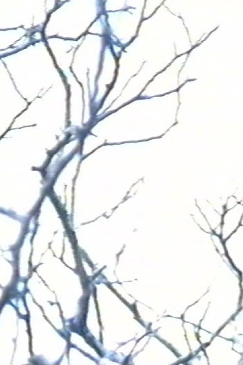 Movie poster for Stereo #0 - 30 drones for television - Drone 15 (2000)