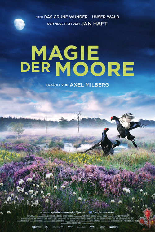 Movie poster for Magie der Moore (2015)