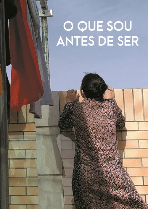 Movie poster for O que sou antes de ser (2021)