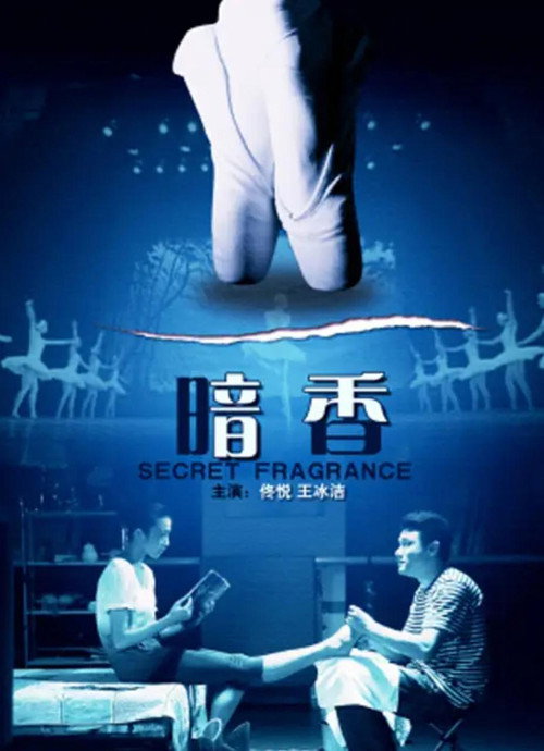 Movie poster for 暗香 (2010)