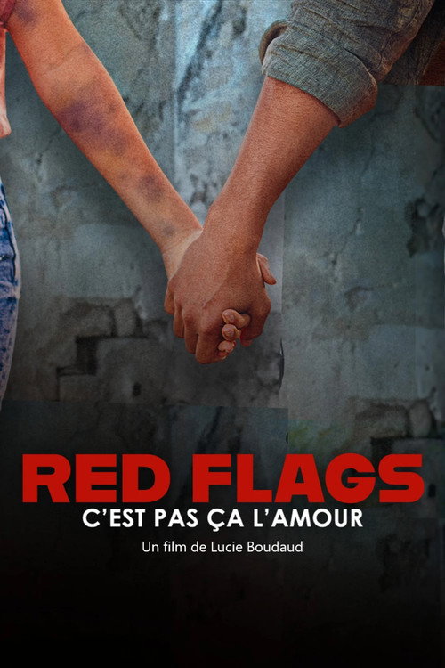 Movie poster for Red Flags – c’est pas ça l’amour (2025)