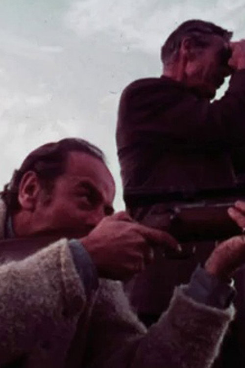 Movie poster for The Reason Why (1970)