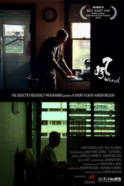 Movie poster for Feng (2007)