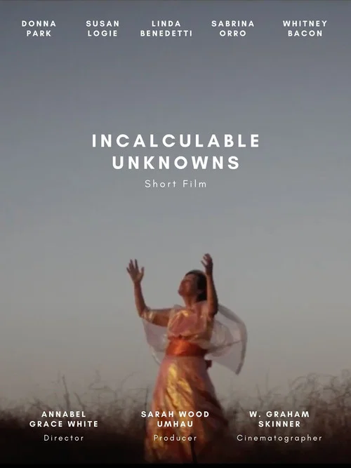 Movie poster for Incalculable Unknowns (2021)