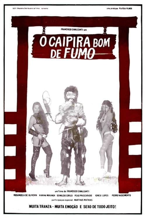 Movie poster for The Good Smoker Hillbilly (1986)