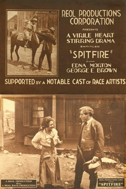Movie poster for Spitfire