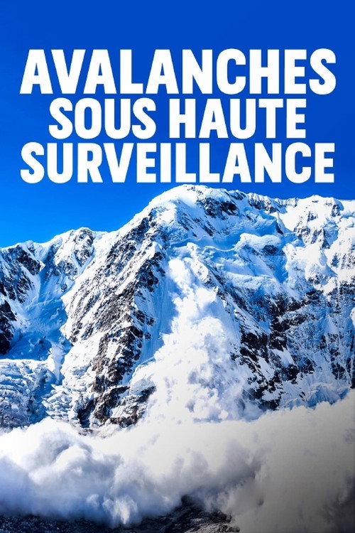 Movie poster for Lawinen – Die unterschätzte Gefahr (2019)