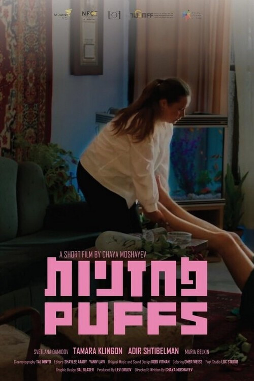 Movie poster for Puffs (2024)