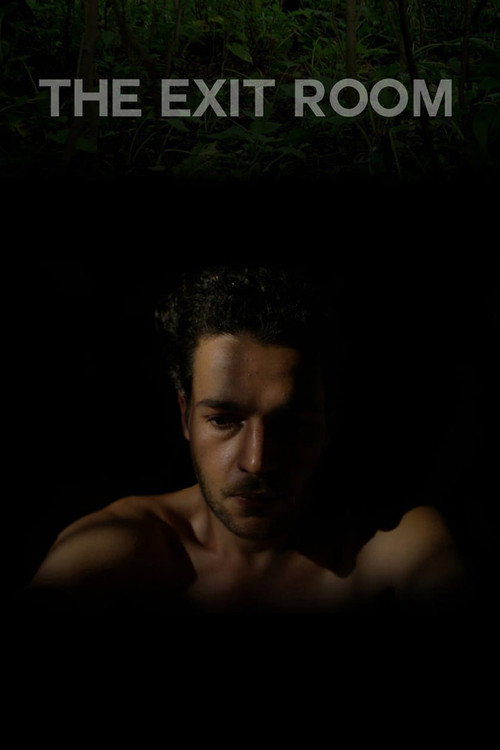 Movie poster for The Exit Room (2013)