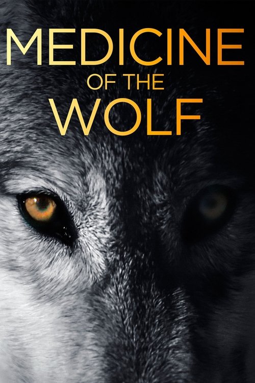 Movie poster for Medicine of the Wolf (2015)