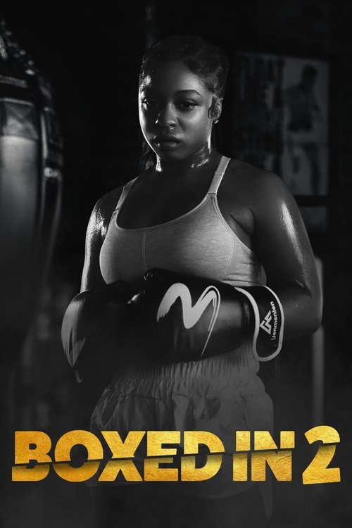 Movie poster for Boxed In 2 (2023)
