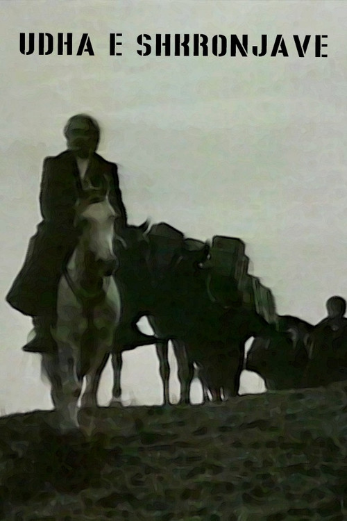 Movie poster for The Road of Writing (1978)
