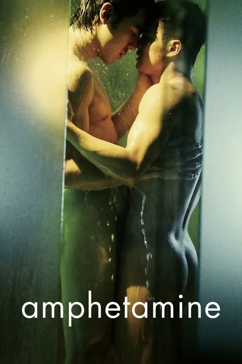 Movie poster for Amphetamine (2010)
