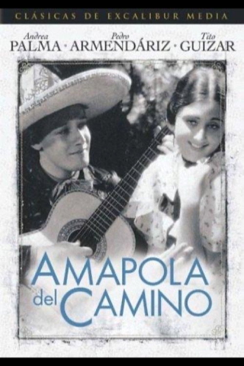 Movie poster for Amapola Del Camino (1937)