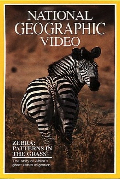 Movie poster for Zebras: Patterns in the Grass (1991)