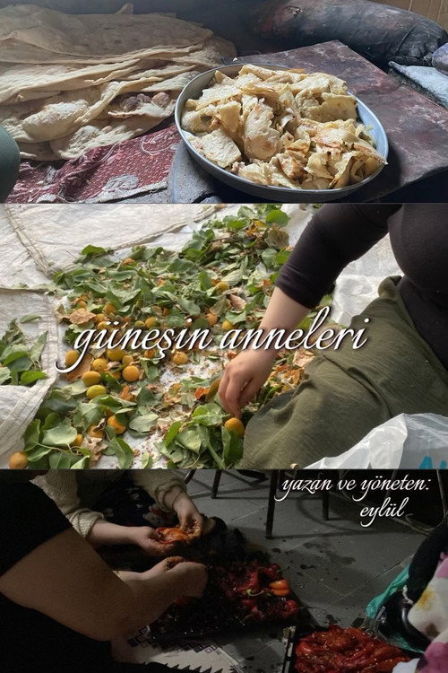 Movie poster for Güneşin Anneleri (2025)