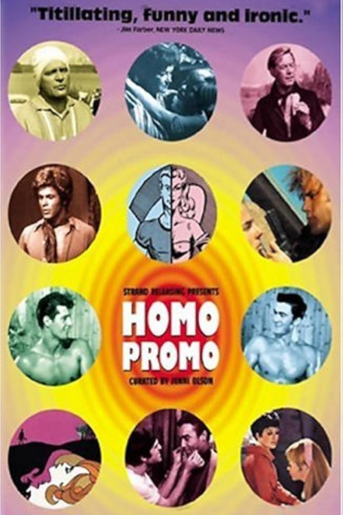 Movie poster for Homo Promo