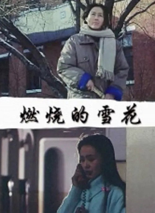 Movie poster for Burning Snow (1993)