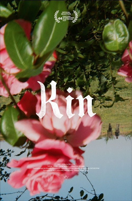 Movie poster for Kin (2021)