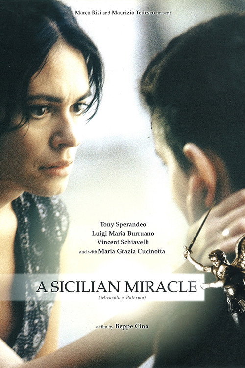 Movie poster for Miracolo a Palermo! (2005)