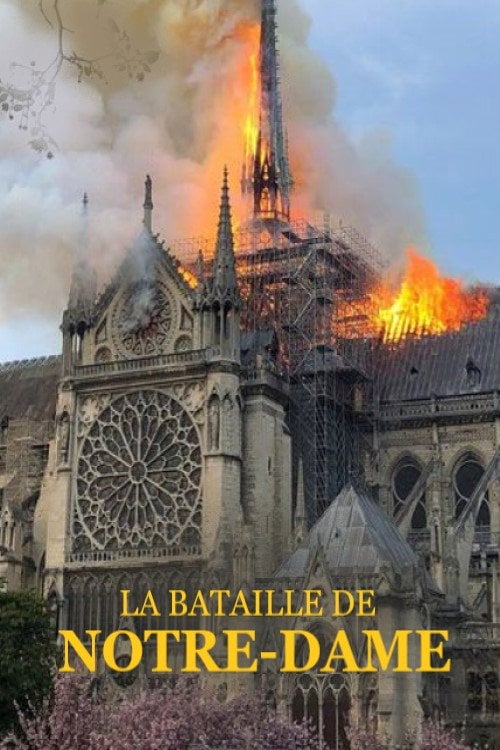 Movie poster for La bataille de Notre-Dame (2019)