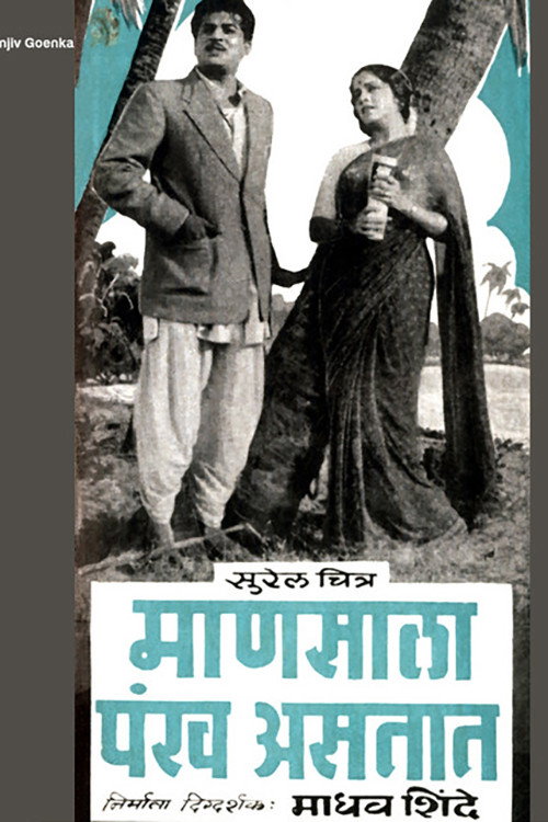 Movie poster for Mansala Pankh Astat (1961)