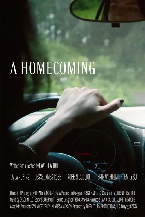 Movie poster for A Homecoming (2026)